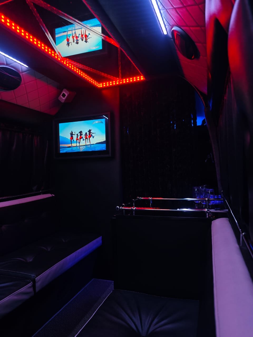 Partybus aplinka